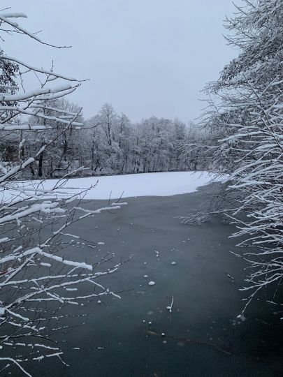 Schlüsselteich (Freiberg) angeln