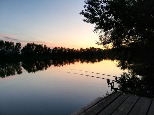 Bucht M1