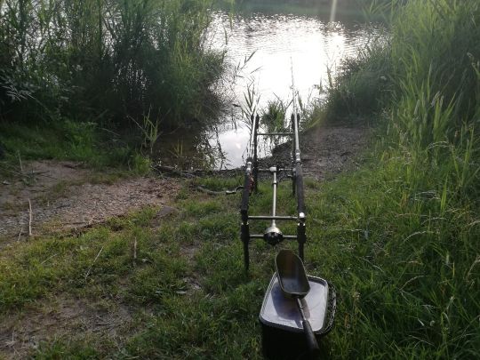 Schönewalder Weiher (Rückholz)-1