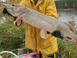 Schönewalder Weiher (Rückholz)-4