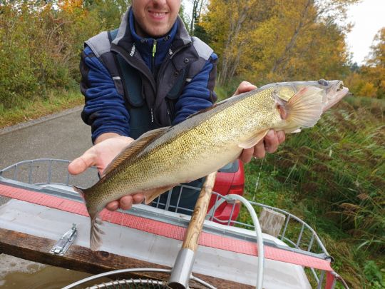 Schönewalder Weiher (Rückholz)-2