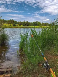 Schönewalder Weiher (Rückholz)-3