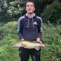 Erlenteich (Dünne)-0