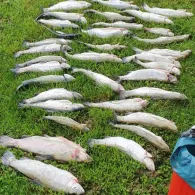 Sauerländer Anglerglück-2