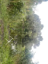 Priorter Angelteich-1