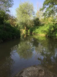 Glonn (Markt Indersdorf)-4