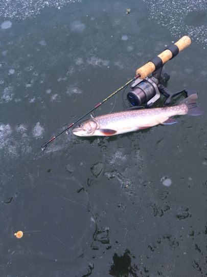 Forellenhof Wedemark-1