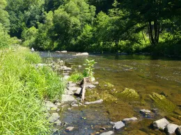 Flöha (Pockau-Lengefeld)-1