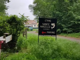 Étang Saint Marcelle-1