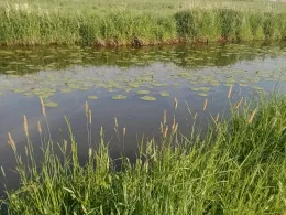 Heubach (Hausdülmen)-1