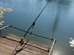 Wolffs-Weiher (Bürstadt)