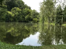 Kleiner Eisteich (Bad Köstritz)