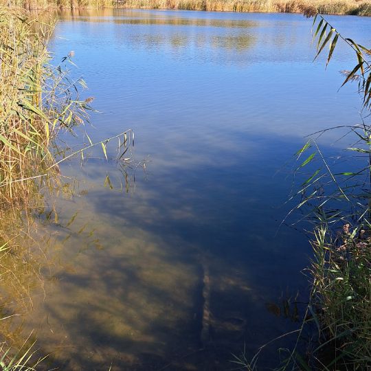 Baggerkiete (Köthen)-3