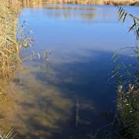 Baggerkiete (Köthen)-3