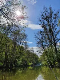 Jagst (Westernhausen)-1