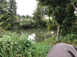 Jagst (Westernhausen)