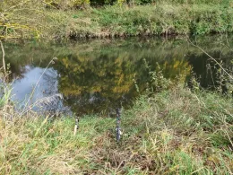 Werra (Philippsthal)