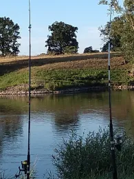 Elbe (Kunzwerda/Pülswerda)-2