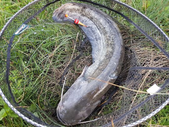 Forellenhof Sünninghausen-1