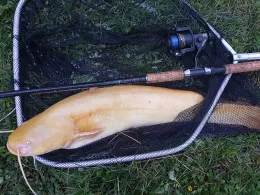 Forellenhof Sünninghausen