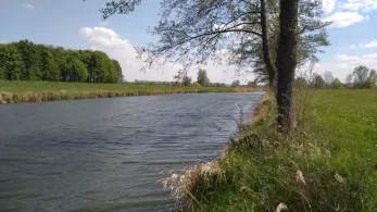 Nordumfluter (Schmogrow-Byhleguhre)-3