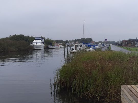Ringkøbing Fjord-4