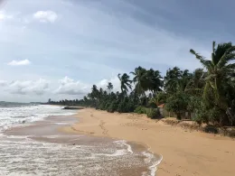 Indischer Ozean (Sri Lanka)-1