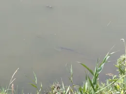 Glück im Winkel (Neufeld)-1