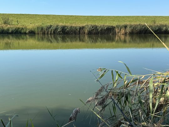 Glück im Winkel (Neufeld)-2