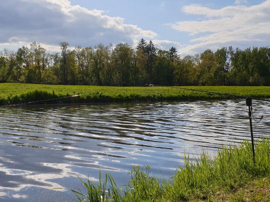 Nauen-Paretzer Kanal-2