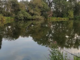 Hirschenwirtweiher-1