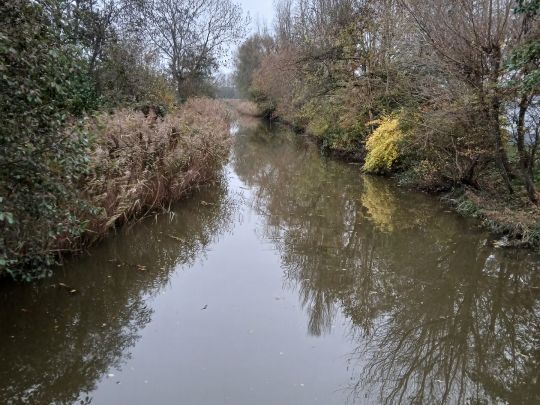 Spikaer Wasserlöse-1