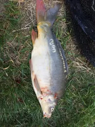 Kaltbadweiher (Bad Windsheim)-2