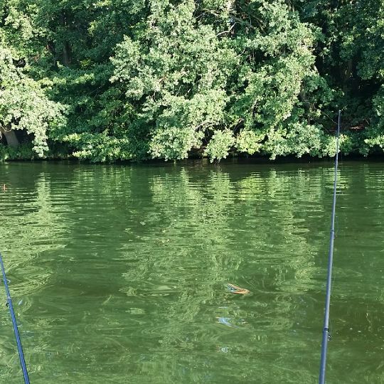 Langer See (Berlin-Grünau)-2