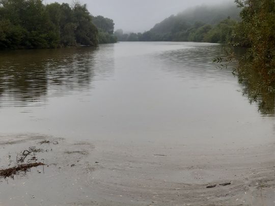 Alte Donau (Pleinting)-4