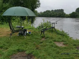 Alte Donau (Pleinting)