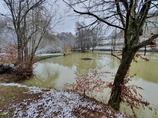 Schnepfenbachweiher (Neuweilnau)-1