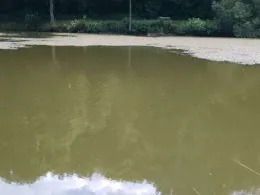 Schnepfenbachweiher (Neuweilnau)-3