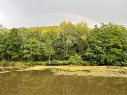 Schnepfenbachweiher (Neuweilnau)-2