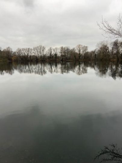 Alter Mühlensee (Rudolphisee)-2