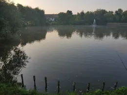 Neuvorwerksteich (Allstedt)