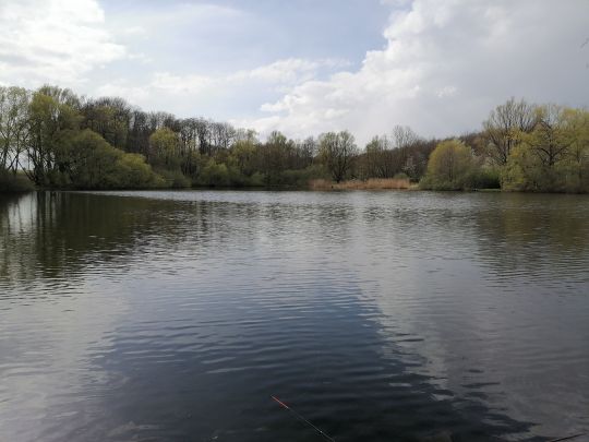 Unterer Romsdorfer Teich-1