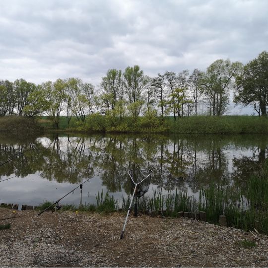 Unterer Romsdorfer Teich-3