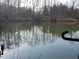 Flämingbad (Coswig)