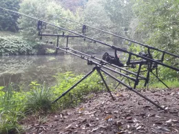 Zwickauer Mulde (Wilkau-Haßlau)-1