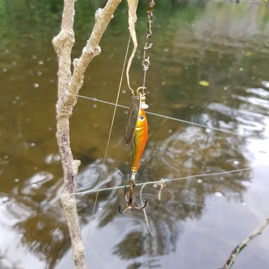 Zwickauer Mulde (Wilkau-Haßlau)-2