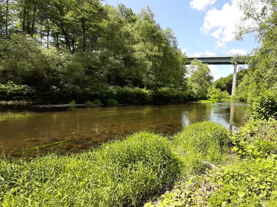 Zwickauer Mulde (Wilkau-Haßlau)-4