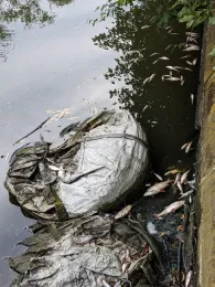 Landwehrkanal (Berlin-Kreuzberg)-1
