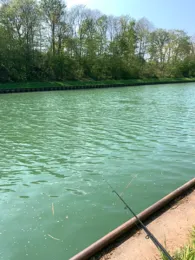 Wesel-Datteln-Kanal (Schermbeck)-3