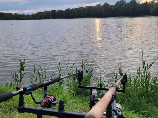 Großdrebnitzer Teich